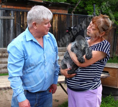 Новые владельцы